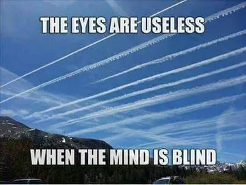 blind.jpg