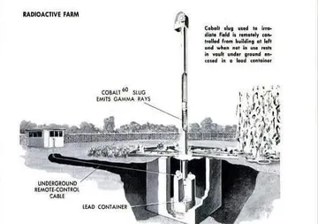 suppressed_atomic_crops5.jpg