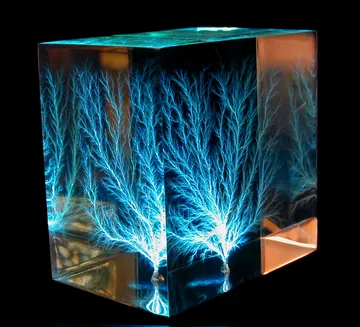 lichtenberg_figures.jpg