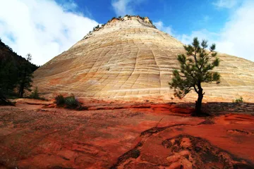lightning_scar_zion.jpg