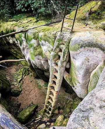 petrified_ladder.jpg