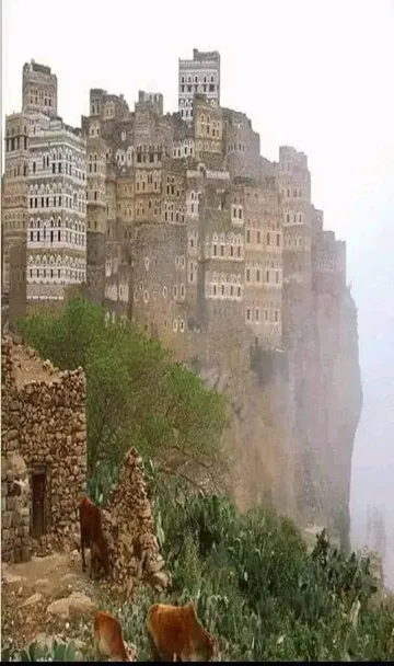 sky-scrapers.jpg