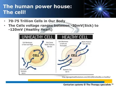 ph_healthy_cell.jpg